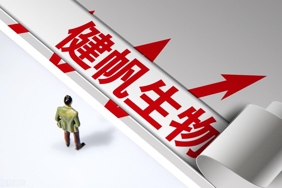 探索股票分紅的小巷寶藏店，投資與回報(bào)之路