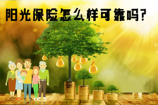 陽光保險(xiǎn)招聘信息詳解，如何把握機(jī)遇，成功入職陽光保險(xiǎn)？