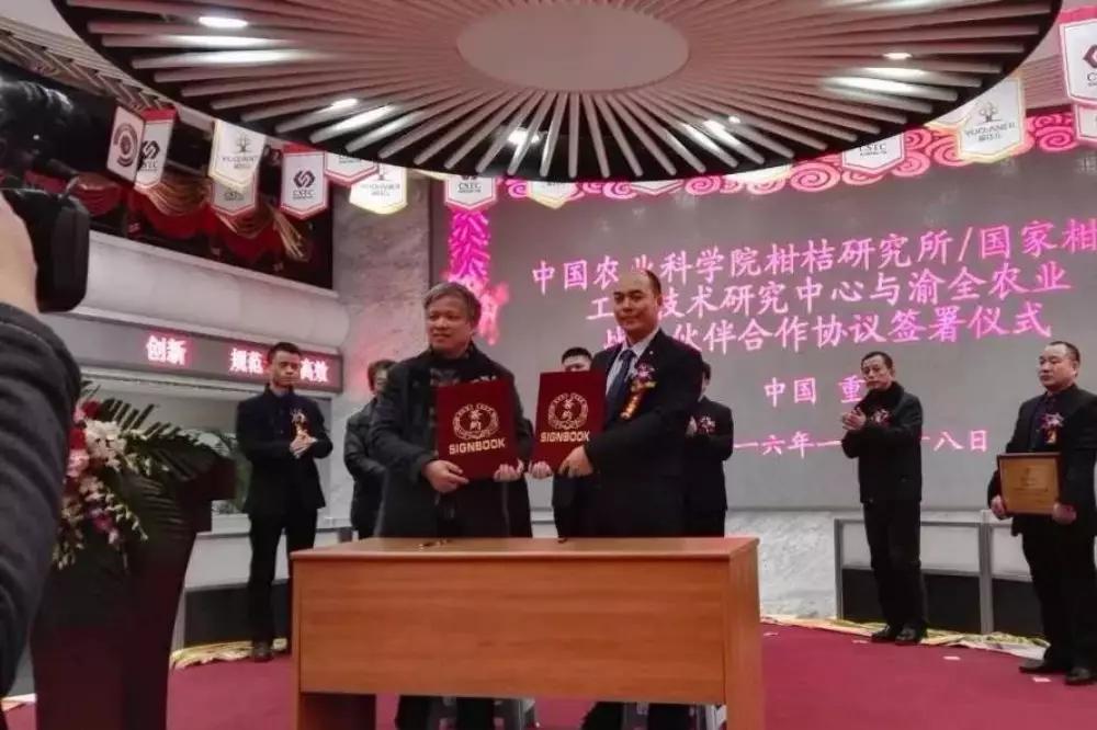 公司上市資本,公司上市資本，詳細步驟指南