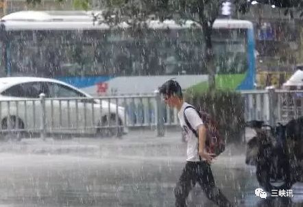 最新雨況，一場自然探索之旅，尋找內心的寧靜與平和
