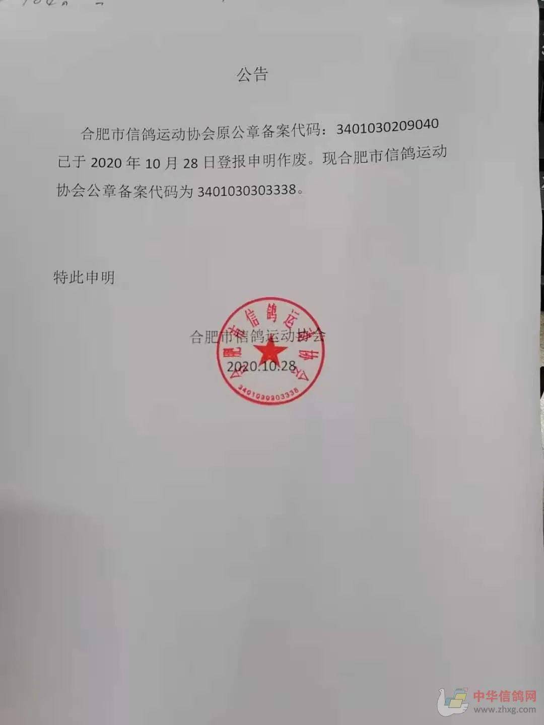 通遼信鴿協(xié)會最新公告，自信翱翔，成就夢想天空！