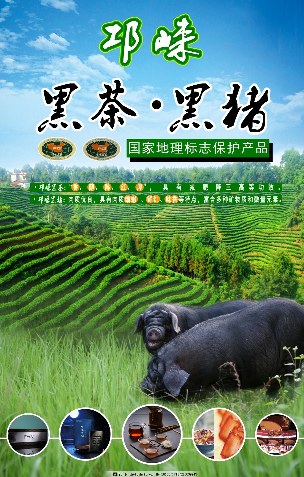 最新良種黑豬養(yǎng)殖指南，一步步教你成為專家
