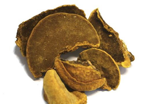 桑黃最新，小巷深處的獨(dú)特風(fēng)味美食
