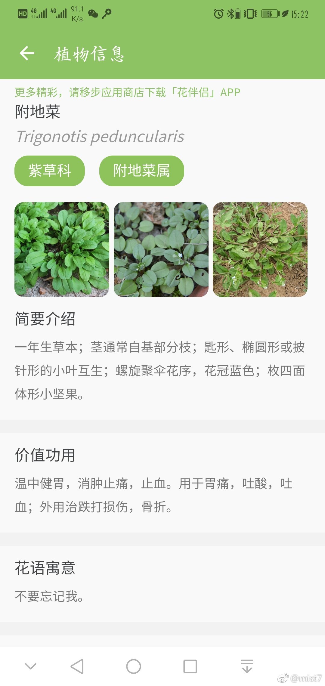 最新地霍，觀點(diǎn)的碰撞與探討盛會(huì)