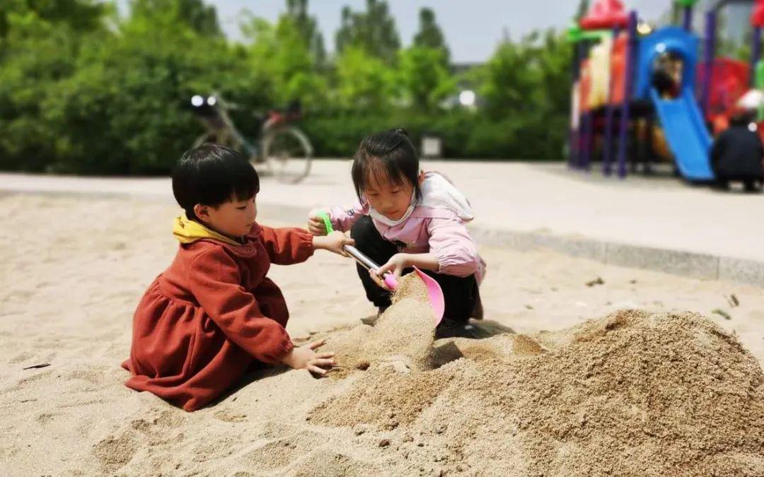 衡水最新集，深度解析教育現(xiàn)象