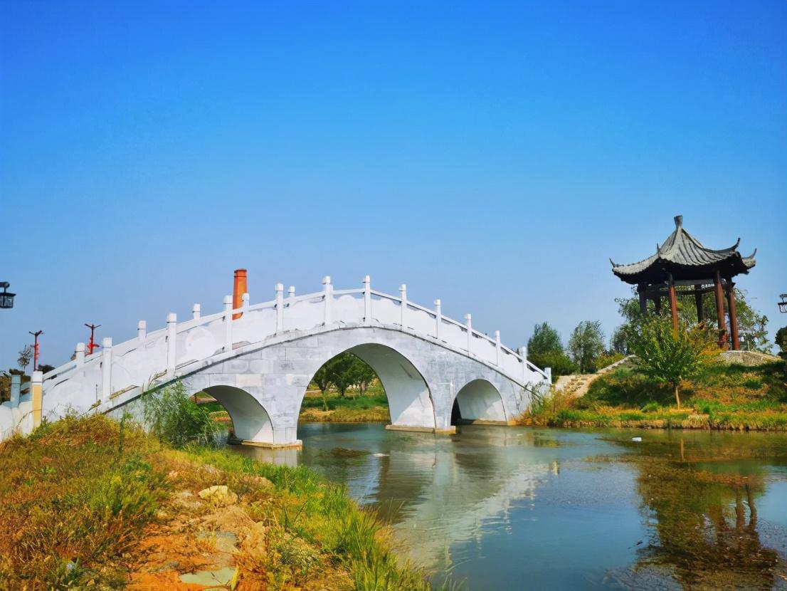 洛陽(yáng)蓮莊焦點(diǎn)事件分析，最新新聞與矚目焦點(diǎn)