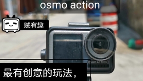 最新東京熱n1050，詳細(xì)步驟指南與體驗分享
